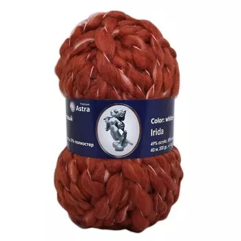 Пряжа Astra Premium 'Ирида' 200гр. 40м (50% шерсть, 49% акрил, 1% полиэстер) (10 терракотовый)