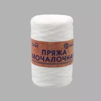 Пряжа Astra Premium 'Мочалочная' 50гр. 200м (100% полипропилен) (матовый белый)