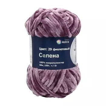 Пряжа Astra Premium 'Селена' 100гр. 68м (100% микрополиэстер) (29 фиолетовый)