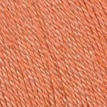 Пряжа из Троицка 'Алиса' (50%шерсть, 50%вискоза) (2863 персик)