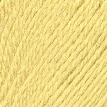 Пряжа из Троицка 'Алиса' (50%шерсть, 50%вискоза) (1080 шампанское)