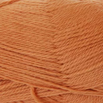 Пряжа из Троицка 'Чистошерстяная' (100%шерсть) (2212 абрикос)