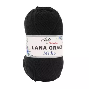 Пряжа из Троицка 'Lana Grace Original' 100гр. 300м. (25% мериносовая шерсть, 75% акрил супер софт) (0140 черный)