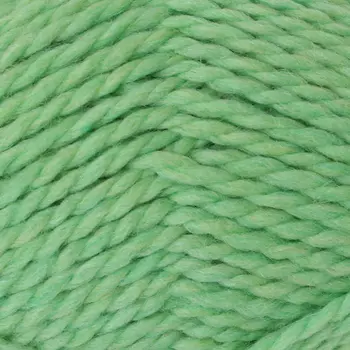 Пряжа из Троицка 'Мелодия' (50%шерсть, 50%акрил) (0582 зеленое яблоко)