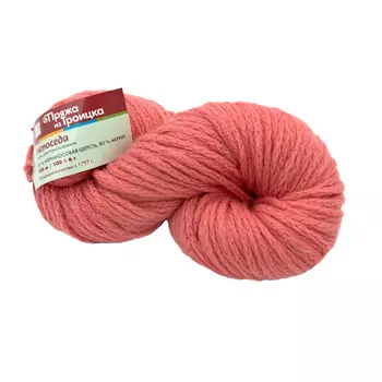 Пряжа из Троицка 'Непоседа' 100гр. 100м. (20% мериносовая шерсть, 80% акрил) (0453 бегония)