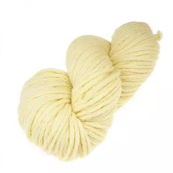 Пряжа из Троицка 'Непоседа' 100гр. 100м. (20% мериносовая шерсть, 80% акрил) (1080 шампанское)