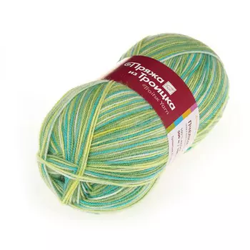 Пряжа из Троицка 'Пчелка принт., секц' 100гр. 500м (100% акрил) (7174 принт)