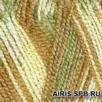 Пряжа из Троицка 'Пчелка принт., секц' 100гр. 500м (100% акрил) (4080 секционный)