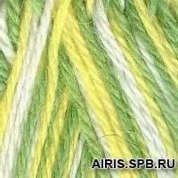 Пряжа из Троицка 'Подмосковная' (50%шерсть, 50%акрил) (4054 секционная)