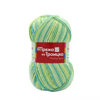 Пряжа из Троицка 'Подмосковная принт, секц.' 100гр. 250м. (50%шерсть, 50%акрил) (7174 принт)