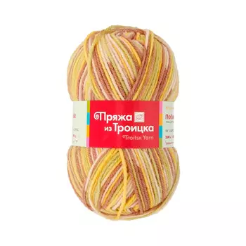 Пряжа из Троицка 'Подмосковная принт, секц.' 100гр. 250м. (50%шерсть, 50%акрил) (7092 принт)