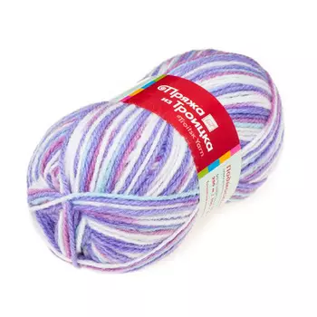 Пряжа из Троицка 'Подмосковная принт, секц.' 100гр. 250м. (50%шерсть, 50%акрил) (4040 секционная)