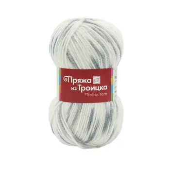 Пряжа из Троицка 'Подмосковная принт, секц.' 100гр. 250м. (50%шерсть, 50%акрил) (4033 секционная)