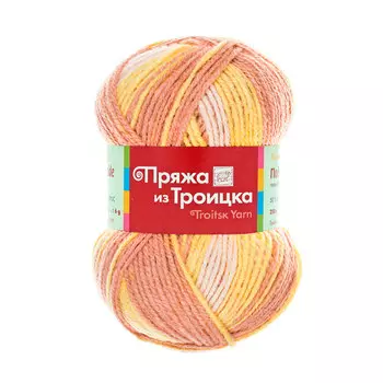 Пряжа из Троицка 'Подмосковная принт, секц.' 100гр. 250м. (50%шерсть, 50%акрил) (7212 принт)