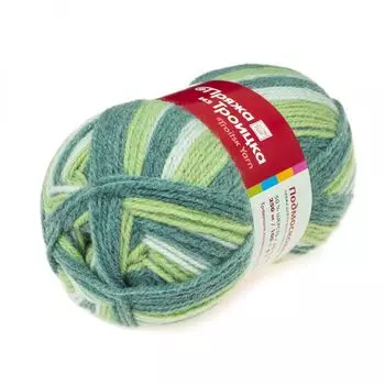 Пряжа из Троицка 'Подмосковная принт, секц.' 100гр. 250м. (50%шерсть, 50%акрил) (7136 принт)