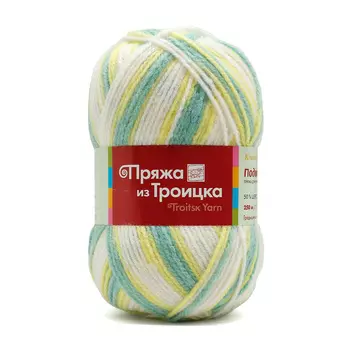 Пряжа из Троицка 'Подмосковная принт, секц.' 100гр. 250м. (50%шерсть, 50%акрил) (4054 секционная)