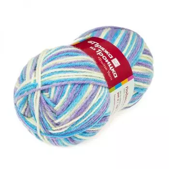 Пряжа из Троицка 'Подмосковная принт, секц.' 100гр. 250м. (50%шерсть, 50%акрил) (4006 секционная)