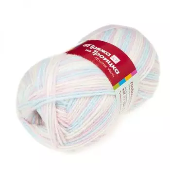 Пряжа из Троицка 'Подмосковная принт, секц.' 100гр. 250м. (50%шерсть, 50%акрил) (4026 секционная)