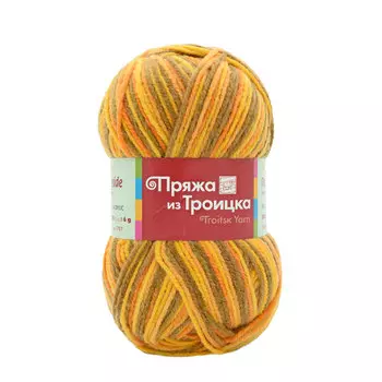 Пряжа из Троицка 'Подмосковная принт, секц.' 100гр. 250м. (50%шерсть, 50%акрил) (4079 секционная)