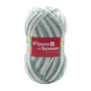 Пряжа из Троицка 'Подмосковная принт, секц.' 100гр. 250м. (50%шерсть, 50%акрил) (4219 секционный)