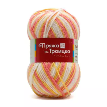 Пряжа из Троицка 'Подмосковная принт, секц.' 100гр. 250м. (50%шерсть, 50%акрил) (4090 секционный)
