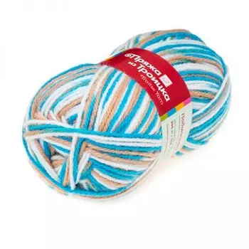 Пряжа из Троицка 'Подмосковная принт, секц.' 100гр. 250м. (50%шерсть, 50%акрил) (4191 секционный)