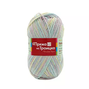 Пряжа из Троицка 'Подмосковная принт, секц.' 100гр. 250м. (50%шерсть, 50%акрил) (4060 секционный)