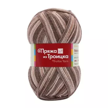 Пряжа из Троицка 'Подмосковная принт, секц.' 100гр. 250м. (50%шерсть, 50%акрил) (7184 принт)