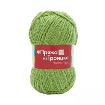 Пряжа из Троицка 'Простая' 100гр. 200м. (50%шерсть, 50%акрил) (8105 меланж (аспарагус))