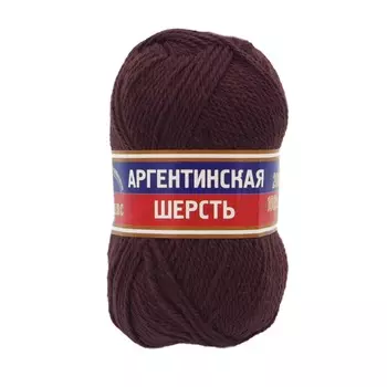 Пряжа Камтекс 'Аргентинская шерсть' (100%шерсть) (121 коричневый)
