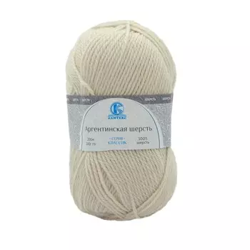 Пряжа Камтекс 'Аргентинская шерсть' (100%шерсть) (205 белый)