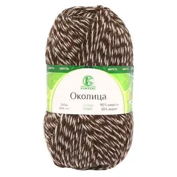Пряжа Камтекс 'Околица' 100гр. 250м (шерсть 90%, акрил 10%) (401 меланж 2)