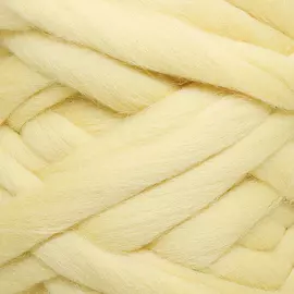 Пряжа Камтекс 'Супер толстая' 500гр. 40м.(шерсть п/т 100%) (031 шампанское)