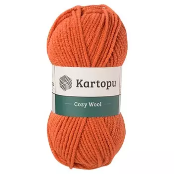 Пряжа KARTOPU 'Cozy Wool' 100г 110м (25% шерсть, 75% акрил) (K1210)