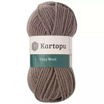 Пряжа KARTOPU 'Cozy Wool' 100г 110м (25% шерсть, 75% акрил) (K1921)