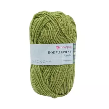 Пряжа Пехорка 'Популярная' 100гр. 133м. (50%шерсть, 50%акрил) (119-Горох)