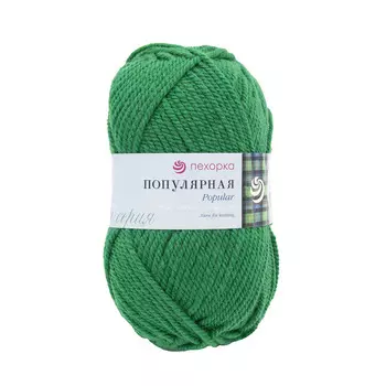 Пряжа Пехорка 'Популярная' 100гр. 133м. (50%шерсть, 50%акрил) (480-Яр.зелень)