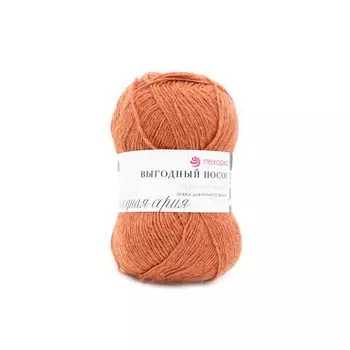 Пряжа Пехорка 'Выгодный носок' 100гр. 300м. (40% шерсть, 60% акрил) (30 св.терракот)