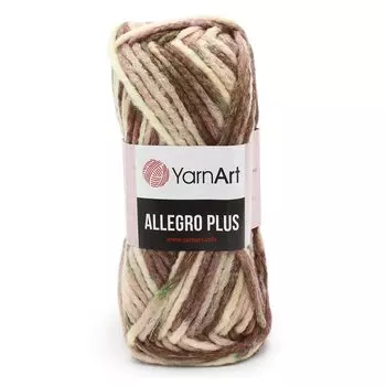Пряжа YarnArt 'Allegro Plus' 100гр 110м (16% шерсть, 28% полиамид, 56% акрил) (750 секционный)