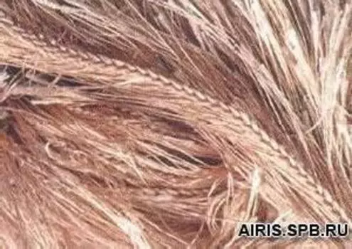 Пряжа YarnArt 'Samba' травка 100гр. 150м.( 100% п/э) (3276 бежевый)