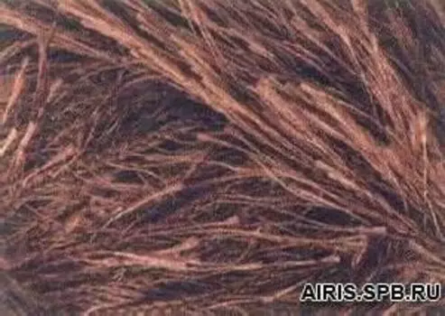 Пряжа YarnArt 'Samba' травка 100гр. 150м.( 100% п/э) (2034 коричневый)
