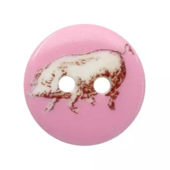 Пуговицы 'Свинья' 9RHB9843 18мм, 12шт