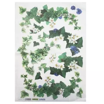 QSIPR153 Декупажная бумага рисовая 'Плющ', плотность 25 гр./кв.м, 35х50 см, Renkalik