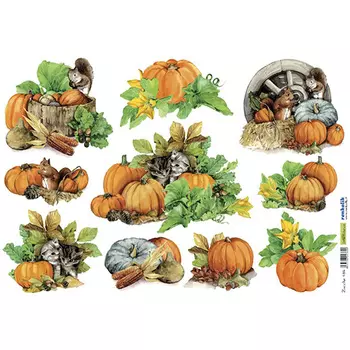 QSIPR184 Декупажная бумага рисовая 'Тыква', плотность 25 гр./кв.м, 35х50 см, Renkalik