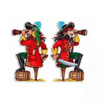 Р-450 Набор для вышивания на пластиковой канве МП Студия 'Отважный пират'19*12см