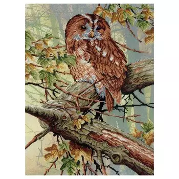 РК-498 Набор для вышивания 'МП Студия' 'В кружевах леса', 40х27 см