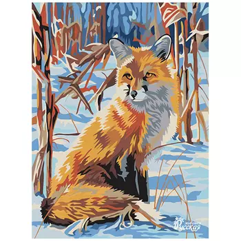 RL047 Набор для рисования по номерам 'Лиса' 30*40см