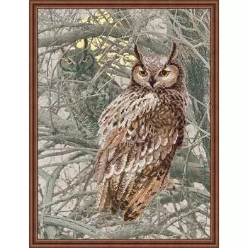 РТ-0038 Набор для вышивания Риолис 'Филин', 30*40 см
