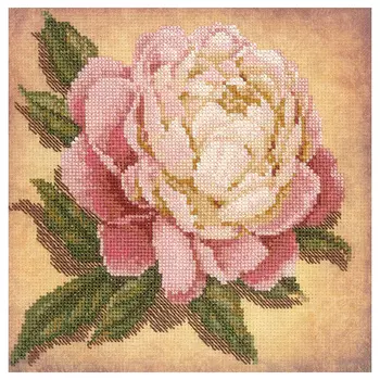 РТ-0071 Частичная вышивка Риолис 'Пион' 20*20 см