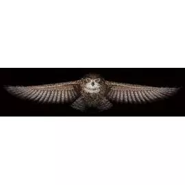 С-44 Набор для вышивания 'Сова' 85х18см